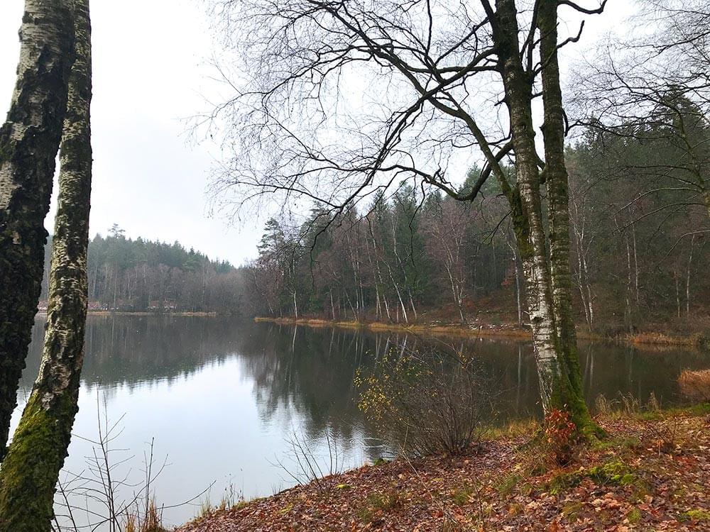 wandeltip wanneer je logeert bij Hotel La Truite d'Argent in de Ardennen wandeltip wanneer je logeert bij Hotel La Truite d'Argent in de Ardennen