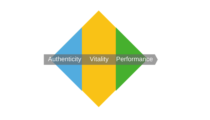 Brett Cowell - The AVP (Authenticity, Vitality, Performance) Diamond of an uncommon life Brett Cowell - The AVP (Authenticity, Vitality, Performance) Diamond of an uncommon life