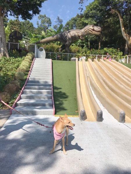 【苗栗寵物友善景點】Sud Vista 蘇維拉莊園 【苗栗寵物友善景點】Sud Vista 蘇維拉莊園