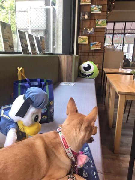 【台中寵物友善餐廳 】森林小徑親子寵物友善餐廳~大墩店 【台中寵物友善餐廳 】森林小徑親子寵物友善餐廳~大墩店