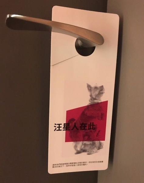 【台北寵物友善住宿】Aloft Taipei Beitou 台北北投雅樂軒酒店 【台北寵物友善住宿】Aloft Taipei Beitou 台北北投雅樂軒酒店