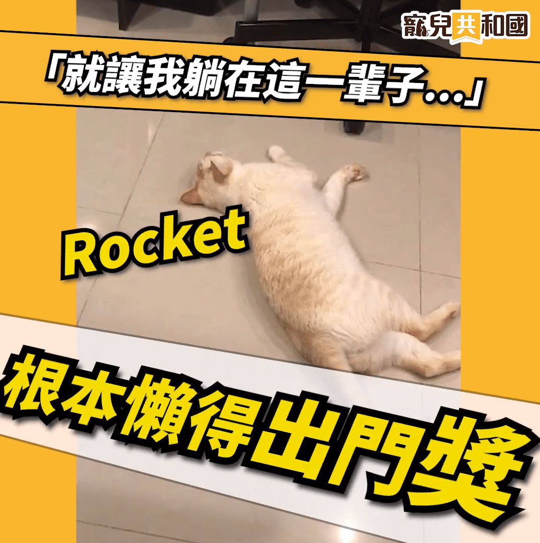 🌟星座寵兒🌟巨蟹寵兒網紅出爐 🌟星座寵兒🌟巨蟹寵兒網紅出爐