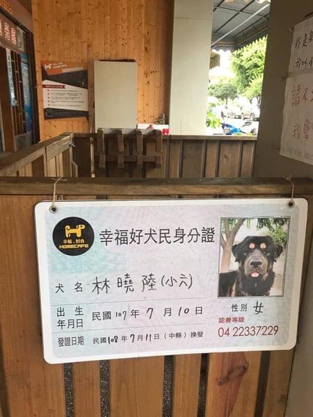 【台中寵物友善餐廳】Homecafe 幸福。好食 寵物認養主題餐廳 【台中寵物友善餐廳】Homecafe 幸福。好食 寵物認養主題餐廳