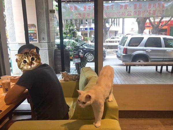 【台中寵物友善餐廳 】森林小徑親子寵物友善餐廳~大墩店 【台中寵物友善餐廳 】森林小徑親子寵物友善餐廳~大墩店