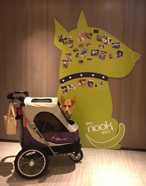 【台北寵物友善住宿】Aloft Taipei Beitou 台北北投雅樂軒酒店 【台北寵物友善住宿】Aloft Taipei Beitou 台北北投雅樂軒酒店