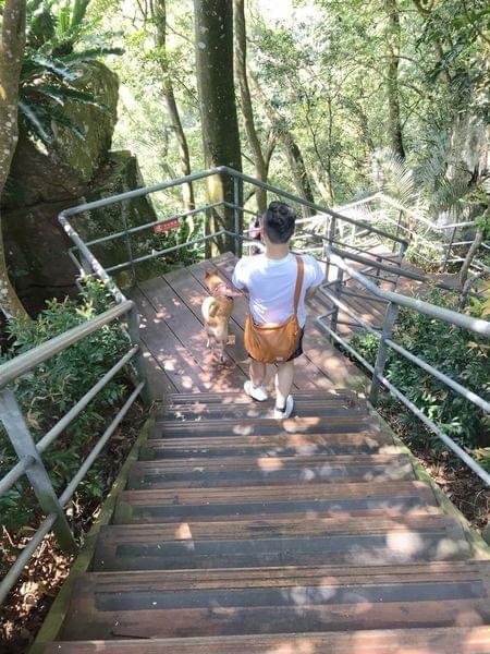 【苗栗寵物友善景點】Sud Vista 蘇維拉莊園 【苗栗寵物友善景點】Sud Vista 蘇維拉莊園