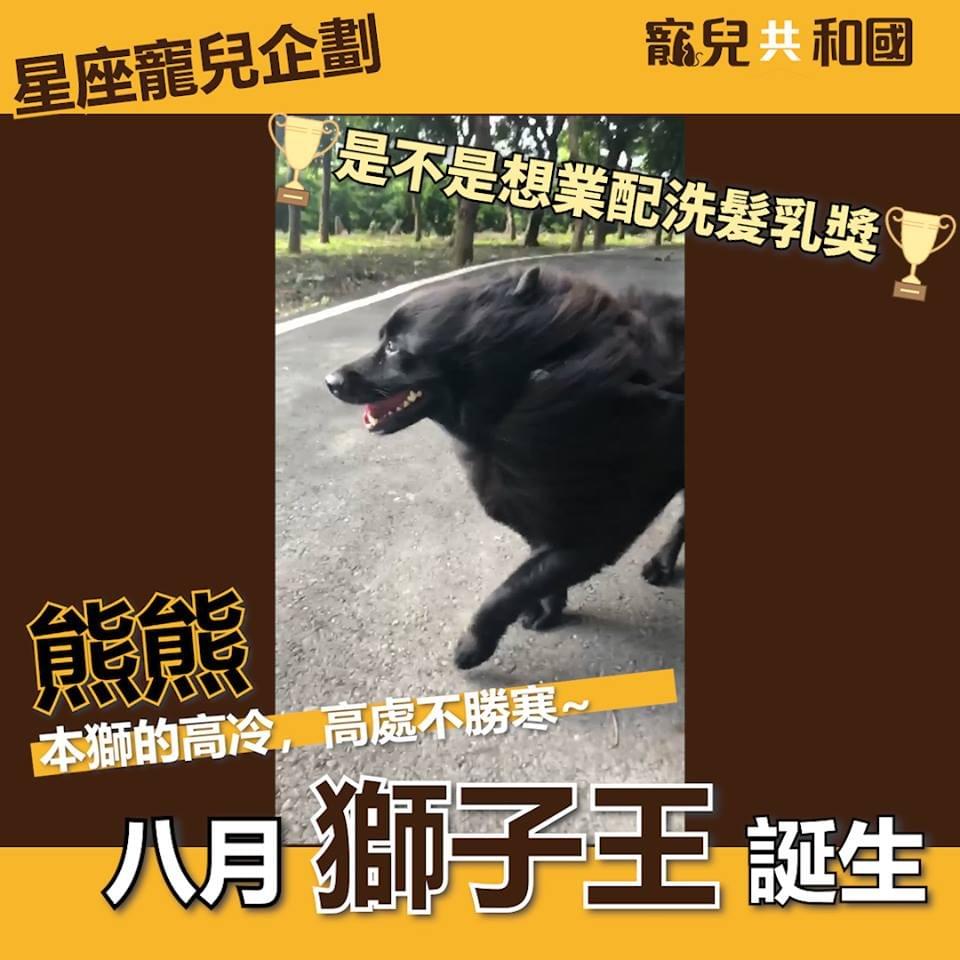 最佳業配洗髮乳獎!熊熊 最佳業配洗髮乳獎!熊熊