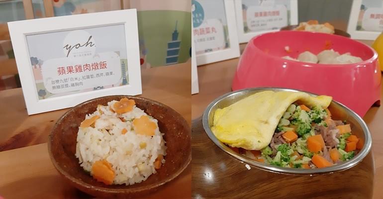 ▲圖片提供/北市動保處▲ ▲圖片提供/北市動保處▲