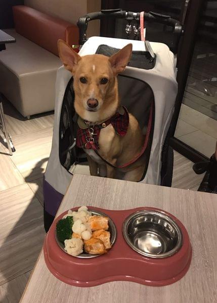【台北寵物友善住宿】Aloft Taipei Beitou 台北北投雅樂軒酒店 【台北寵物友善住宿】Aloft Taipei Beitou 台北北投雅樂軒酒店