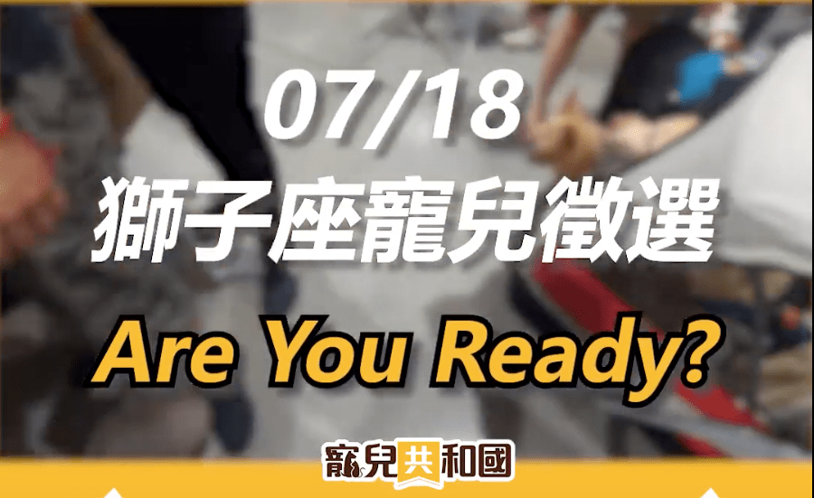 ▲獅子座寵兒徵選▲ ▲獅子座寵兒徵選▲