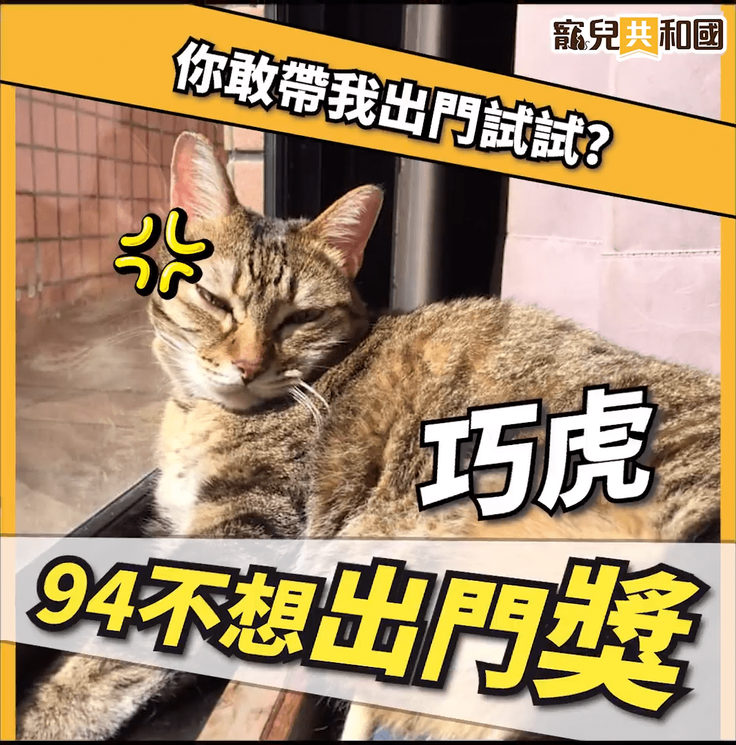 🌟星座寵兒🌟巨蟹寵兒網紅出爐 🌟星座寵兒🌟巨蟹寵兒網紅出爐