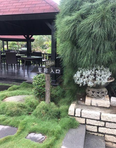 【桃園寵物餐廳】3號咖啡 No.3 Cafe 【桃園寵物餐廳】3號咖啡 No.3 Cafe