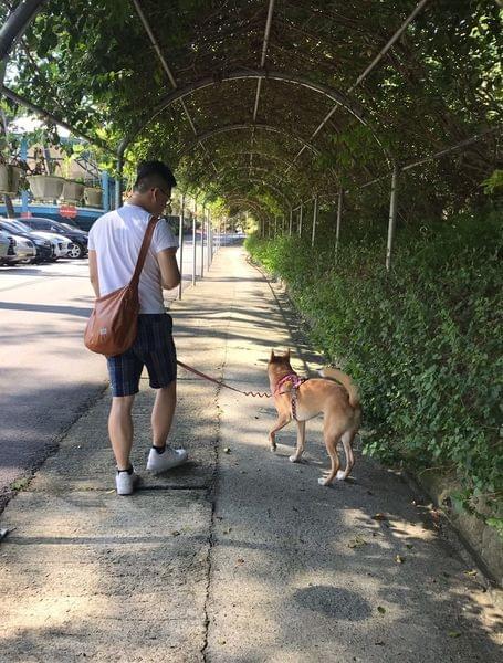 【苗栗寵物友善景點】Sud Vista 蘇維拉莊園 【苗栗寵物友善景點】Sud Vista 蘇維拉莊園