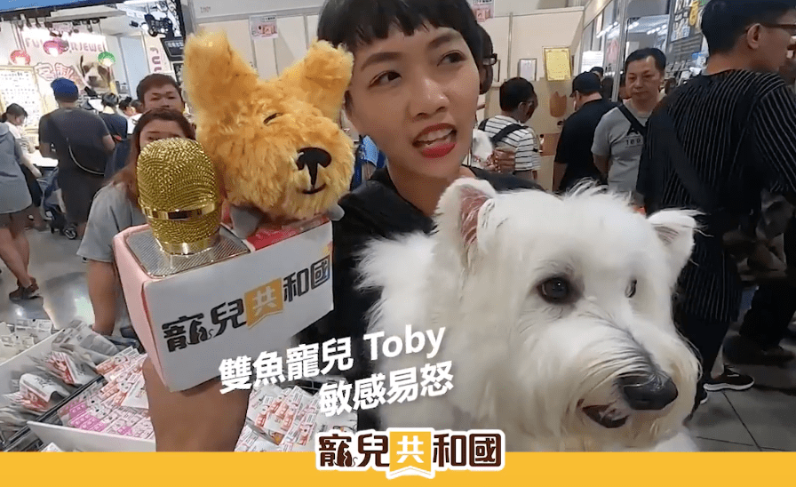 ▲雙魚寵兒Toby▲ ▲雙魚寵兒Toby▲