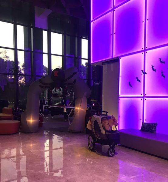 【台北寵物友善住宿】Aloft Taipei Beitou 台北北投雅樂軒酒店 【台北寵物友善住宿】Aloft Taipei Beitou 台北北投雅樂軒酒店