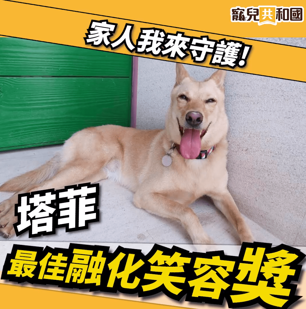 🌟星座寵兒🌟巨蟹寵兒網紅出爐 🌟星座寵兒🌟巨蟹寵兒網紅出爐