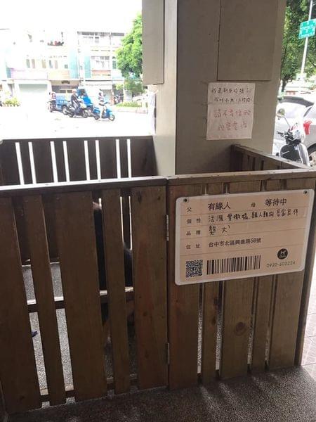 【台中寵物友善餐廳】Homecafe 幸福。好食 寵物認養主題餐廳 【台中寵物友善餐廳】Homecafe 幸福。好食 寵物認養主題餐廳