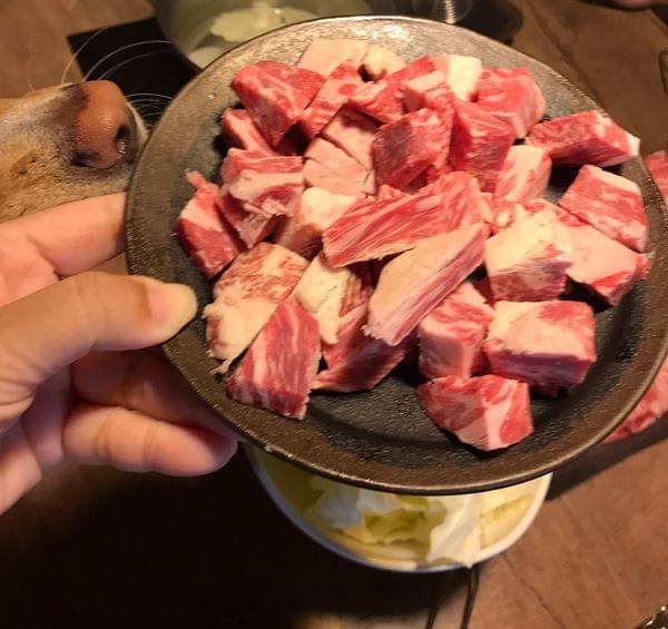 台北寵物友善餐廳】金鍋盃小火鍋-職人 肉品 海鮮~內湖店 台北寵物友善餐廳】金鍋盃小火鍋-職人 肉品 海鮮~內湖店