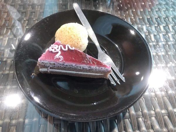 【桃園寵物餐廳】3號咖啡 No.3 Cafe 【桃園寵物餐廳】3號咖啡 No.3 Cafe