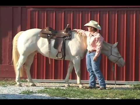 Rhonda Demonstrating Saddle Fit (This is an Example of a Good Fitting Saddle) Rhonda Demonstrating Saddle Fit (This is an Example of a Good Fitting Saddle)