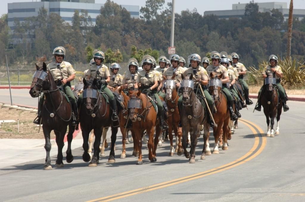 Tactical Horsemanship