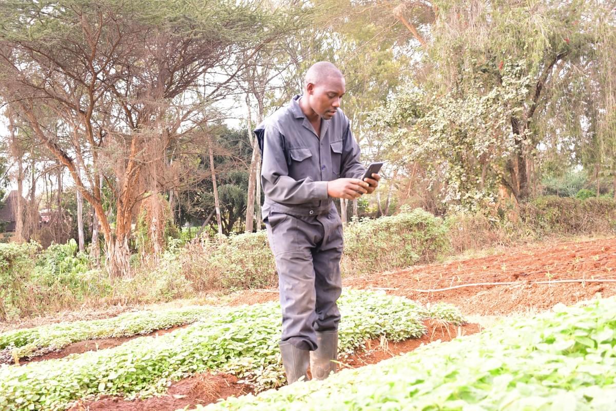 A Kenyan farmer accessing knowledge through his smartphone. (Photo: Faith Maiyo, Biovision Africa Trust) A Kenyan farmer accessing knowledge through his smartphone. (Photo: Faith Maiyo, Biovision Africa Trust)