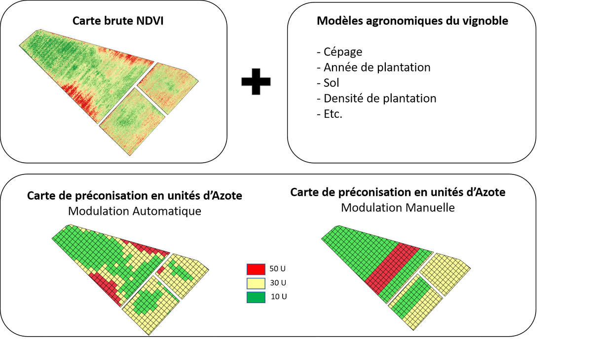 Carte de préconisation, viticulture, AgroData Carte de préconisation, viticulture, AgroData