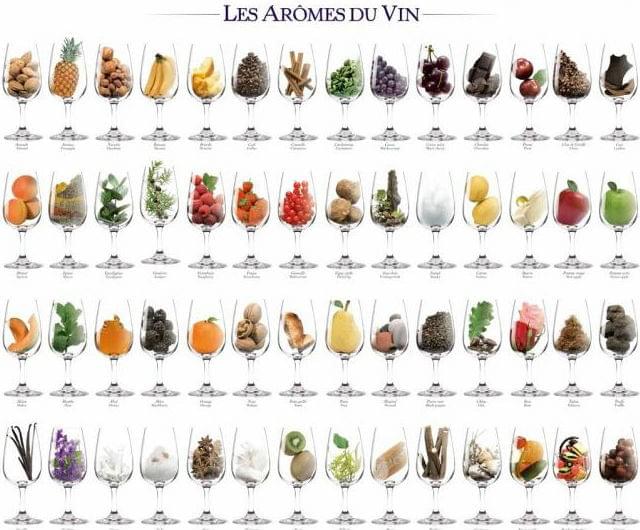 arômes du vin arômes du vin