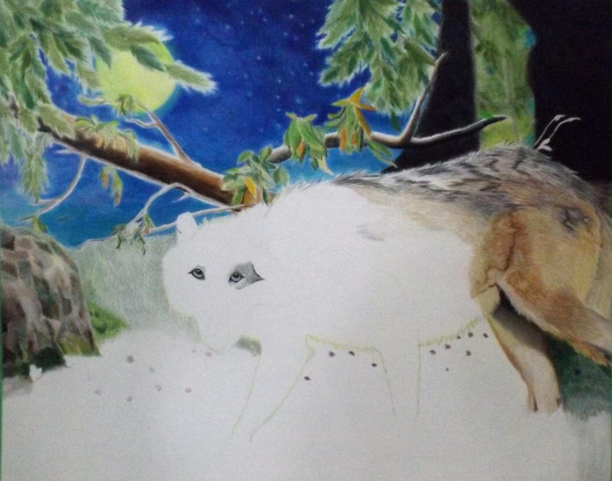 This is a colored pencil piece I am working on. I am using Prismacolor Premier colored pencils and Monalisa Oderless mineral spirits for blending on Strathmore 90 # Hot pressed watercolor paper. I will let you know how I like the paper. :) . This is a colored pencil piece I am working on. I am using Prismacolor Premier colored pencils and Monalisa Oderless mineral spirits for blending on Strathmore 90 # Hot pressed watercolor paper. I will let you know how I like the paper. :) .
