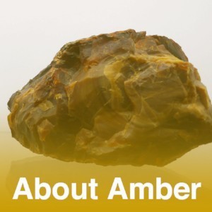 About Amber