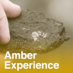Amber Experience