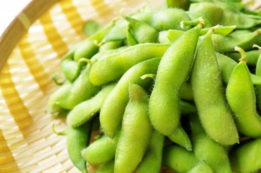 枝豆 枝豆