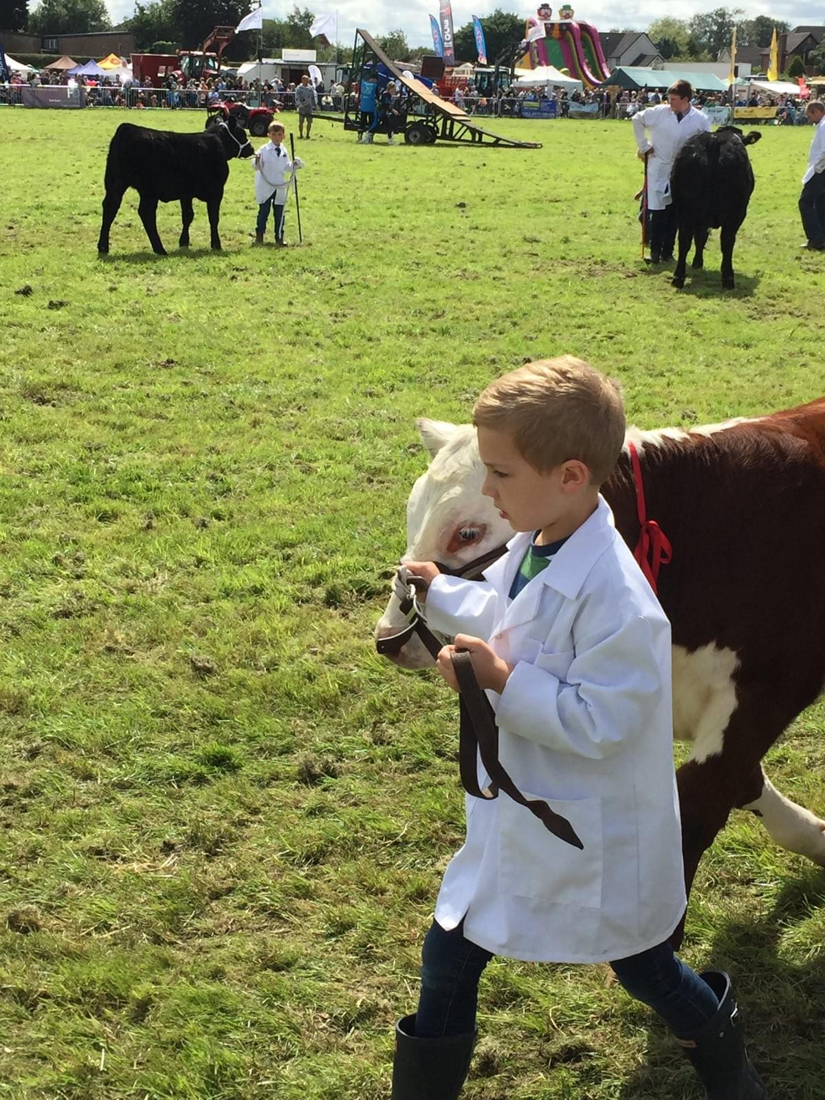 Mini Mink with our 6 y.o. nephew in young handlers competition. Mini Mink with our 6 y.o. nephew in young handlers competition.