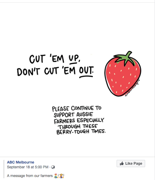 strawberry farmers post ABC strawberry farmers post ABC