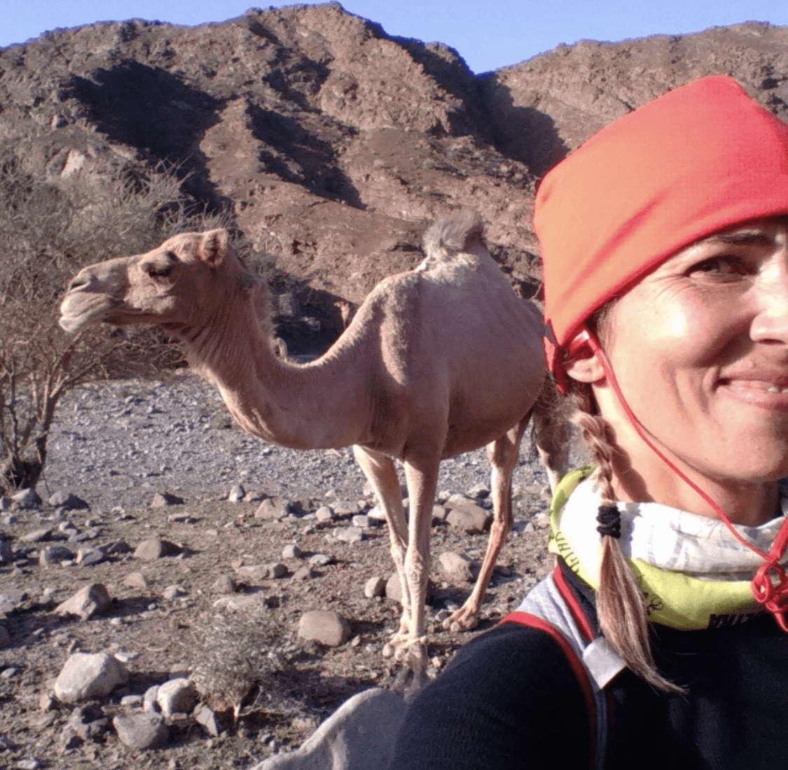 female runner poses for selfie with camel in Dubai UAE female runner poses for selfie with camel in Dubai UAE