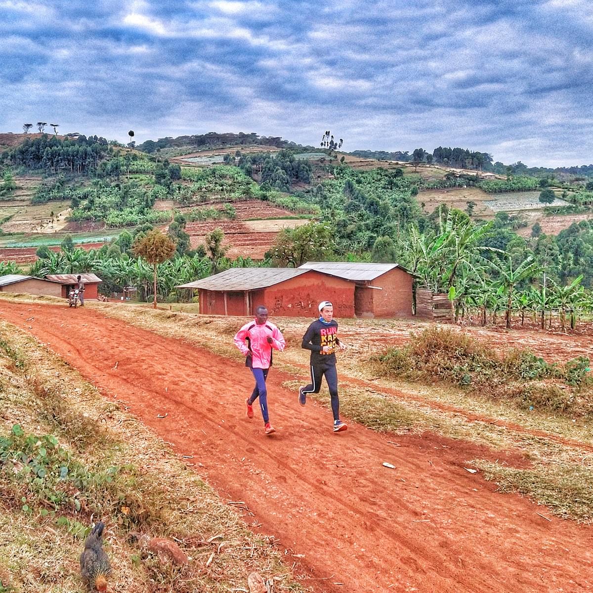 ugandan runner guides a tourist during a morning run in Kapchorwa, Uganda ugandan runner guides a tourist during a morning run in Kapchorwa, Uganda