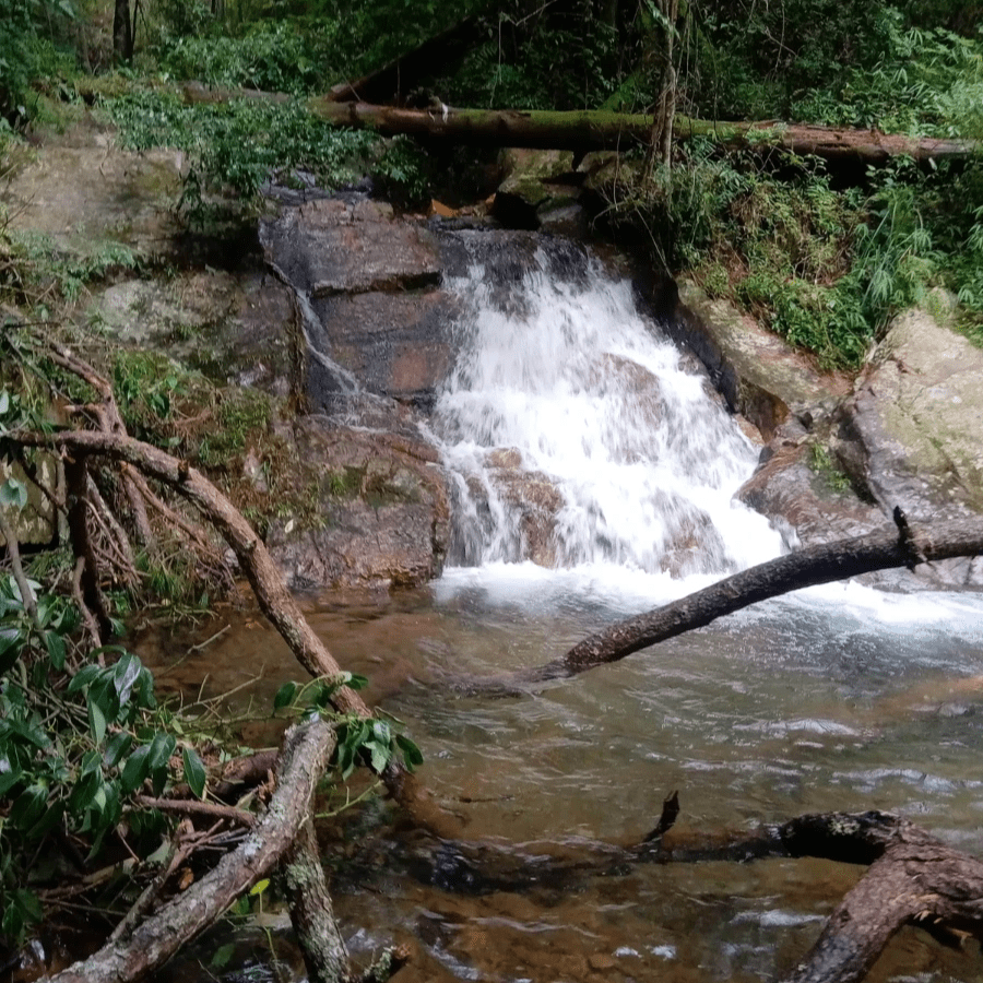 waterfall river during trail run in meghalaya shillong india waterfall river during trail run in meghalaya shillong india