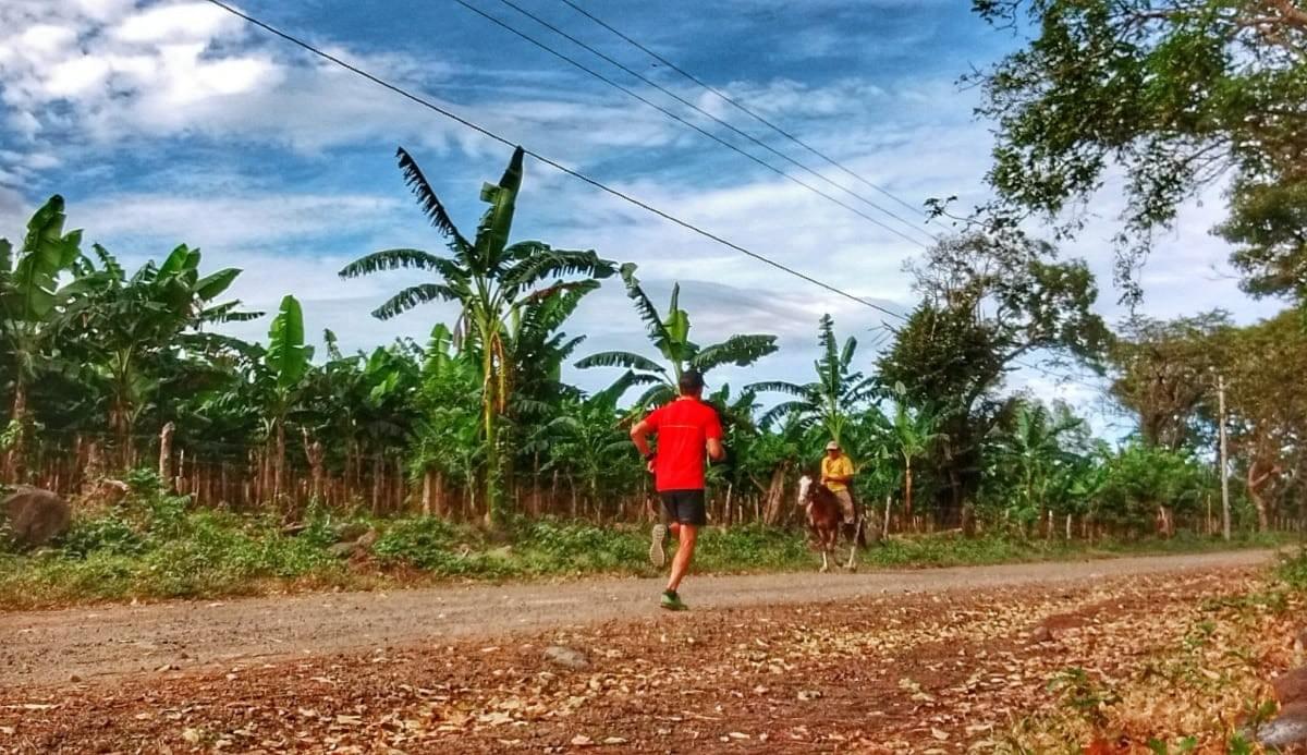 Passing a banana plantation and man riding his horse during a morning training run on Ometepe Passing a banana plantation and man riding his horse during a morning training run on Ometepe