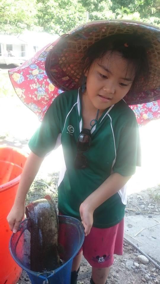 抓鯰魚 抓鯰魚