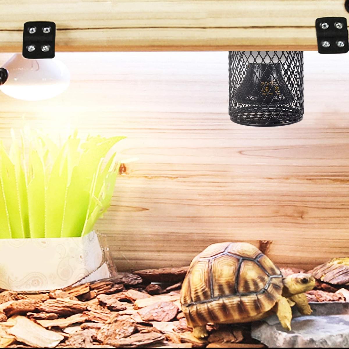 Pecute 3 In 1 Pet Ceramic Heating Lamp With Heat Guard Heater Holder