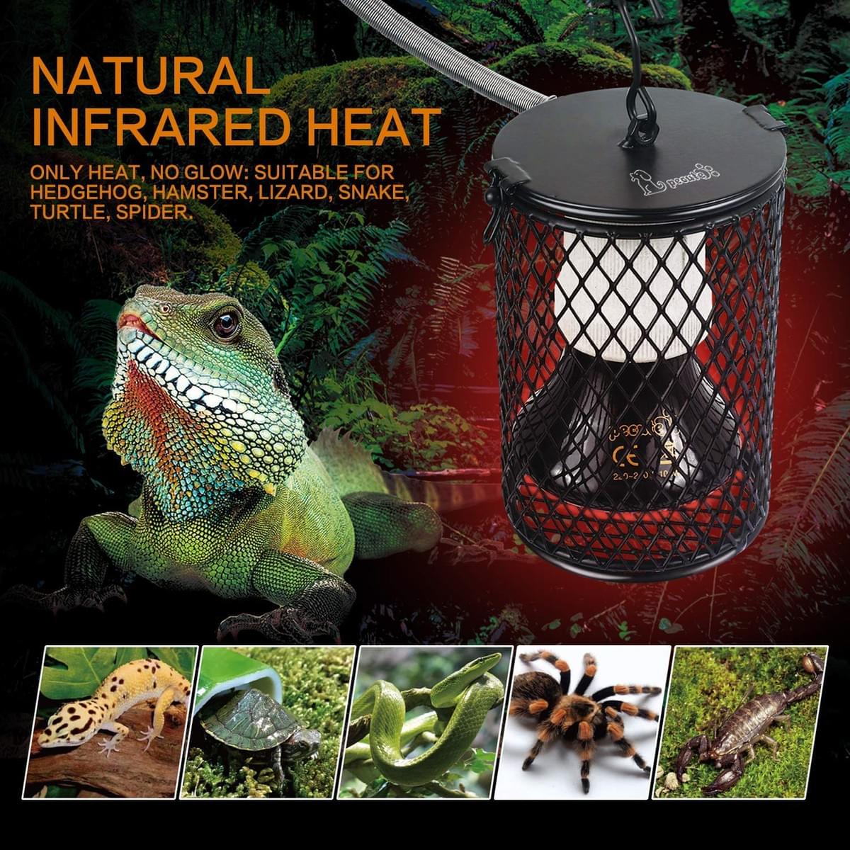 Pecute 3 In 1 Pet Ceramic Heating Lamp With Heat Guard Heater Holder Pecute Newly Design 3 In 1 Ceramic Heat Lamp Provide A Whole Winter Warmth