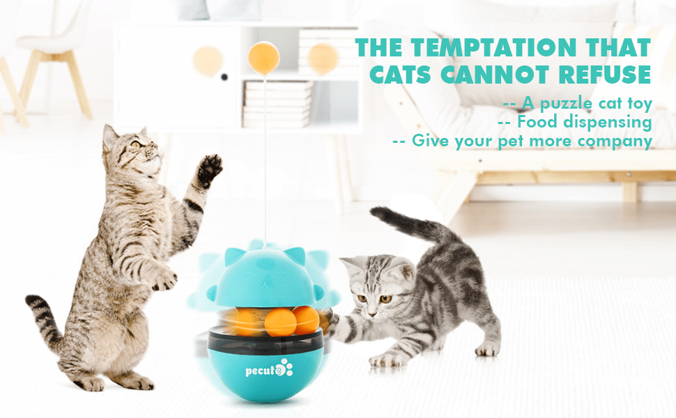 cat roller ball toy