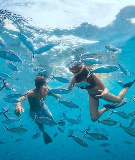 (image: www.fiji.travel) (image: www.fiji.travel)