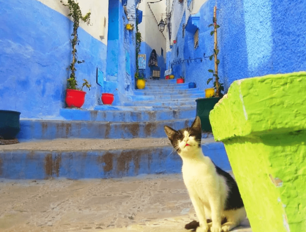 Sites à voir près de Malaga - Chefchaouen Sites à voir près de Malaga - Chefchaouen