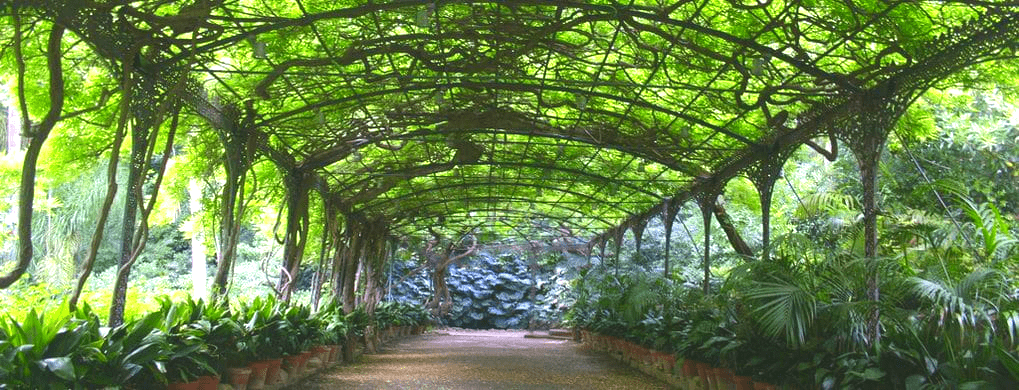 Activités gratuites à Malaga en couple ou en famille - Jardin Botanique Activités gratuites à Malaga en couple ou en famille - Jardin Botanique
