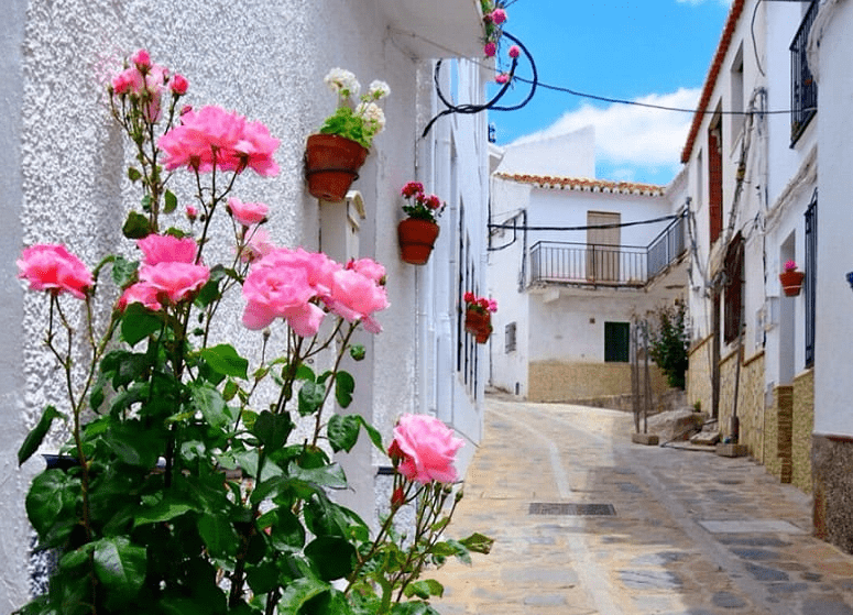 Sites à visiter près de Malaga - charmants villages blancs Sites à visiter près de Malaga - charmants villages blancs