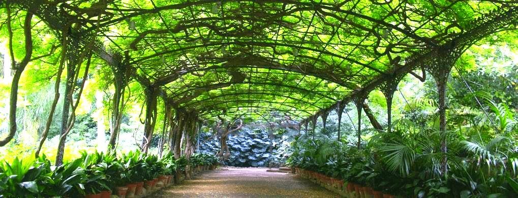Free activities for couples and families Malaga - Botanical garden Free activities for couples and families Malaga - Botanical garden