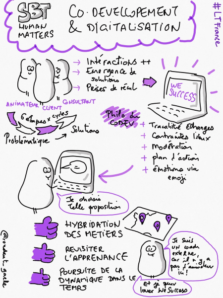Co-développement et digitalisation par SBT Human Matter - Sketchnote de Gaëlle Roudaut Co-développement et digitalisation par SBT Human Matter - Sketchnote de Gaëlle Roudaut