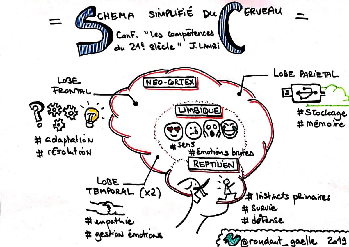 sketchnote schéma simplifié du cerveau par Gaëlle Roudaut sketchnote schéma simplifié du cerveau par Gaëlle Roudaut