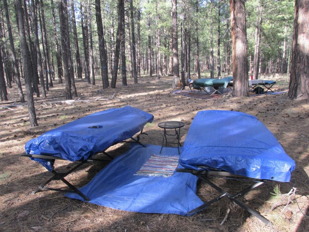 best camping cot